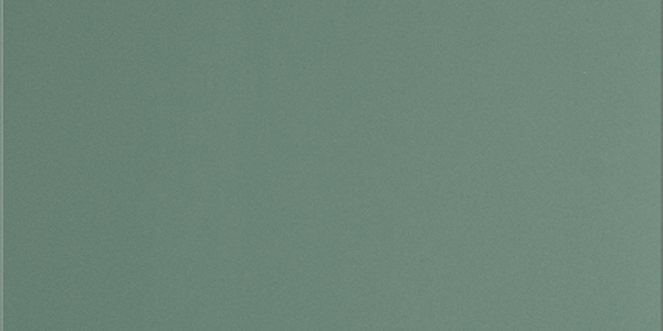 UF029MR 600x1200 матовый ректификат мурена