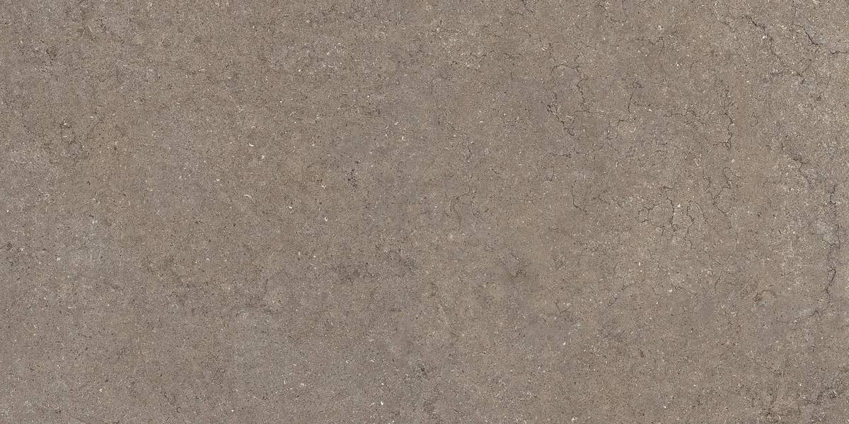 Дисковер Дезерт 600x1200 натуральный керамогранит