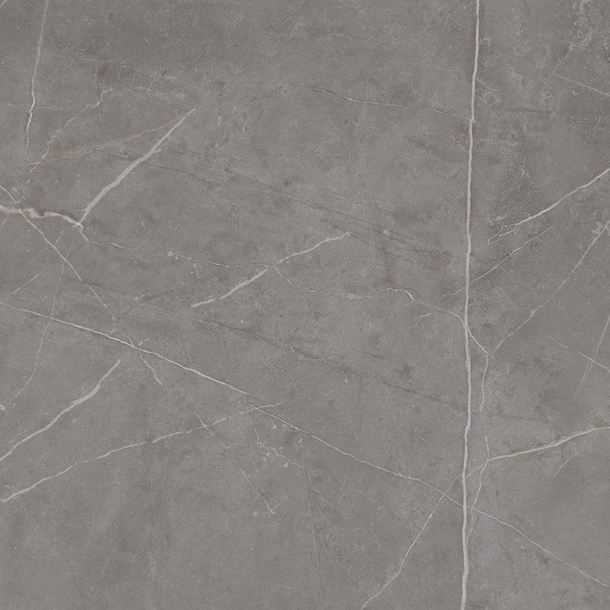 NL03 Nolana Dark Grey 600x600 неполированный серый