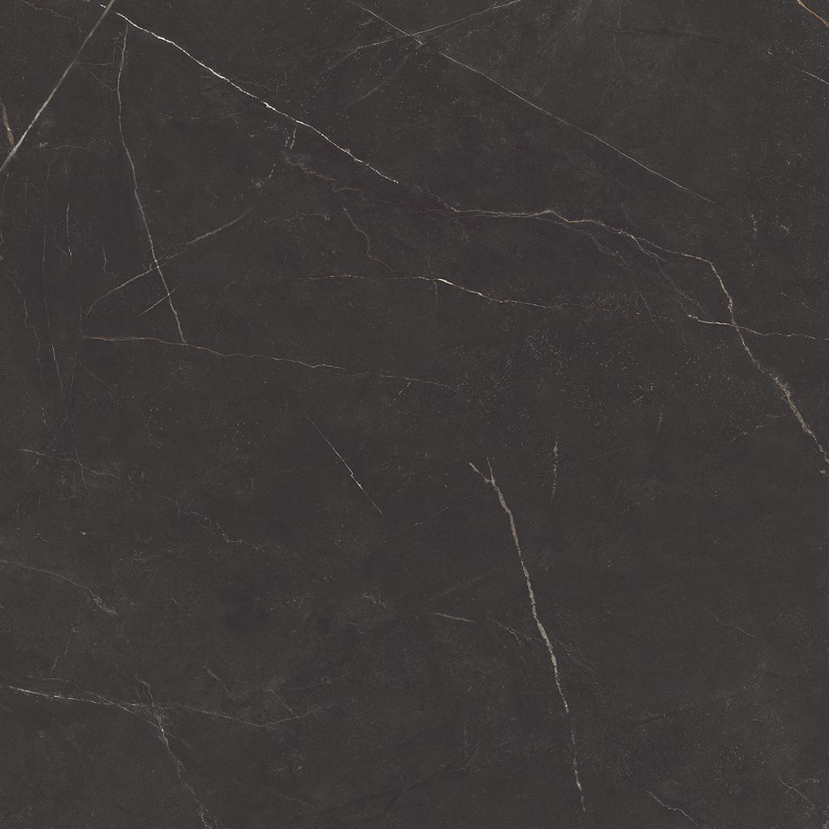 NL04 Nolana Black 600x600 неполированный черный