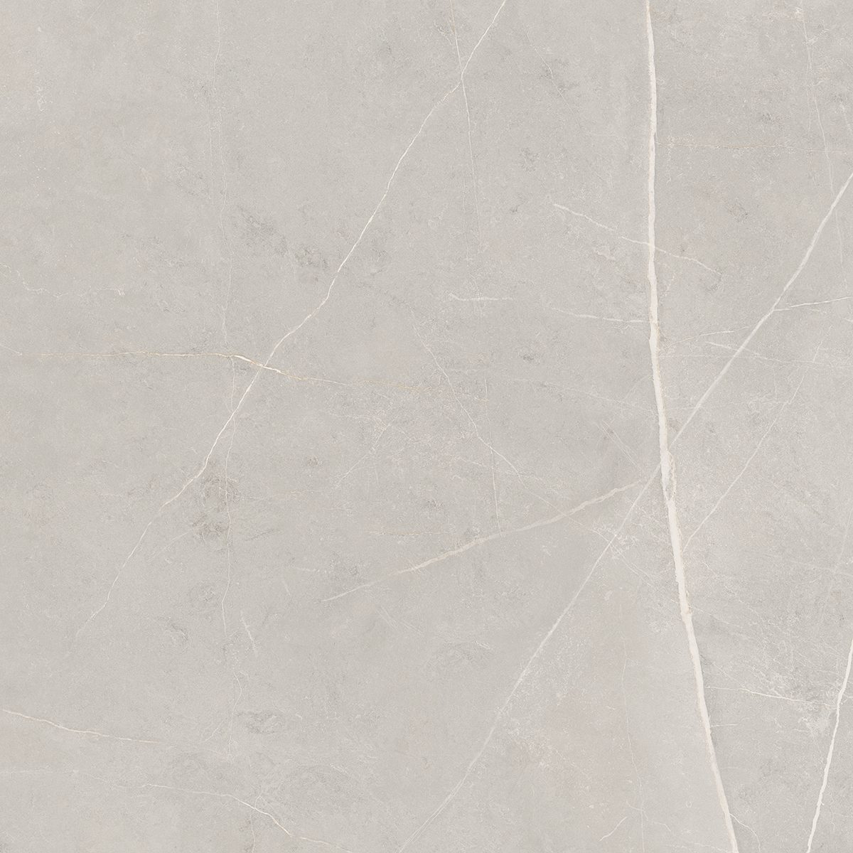 NL02 Nolana Light Grey 800x800 неполированный серый