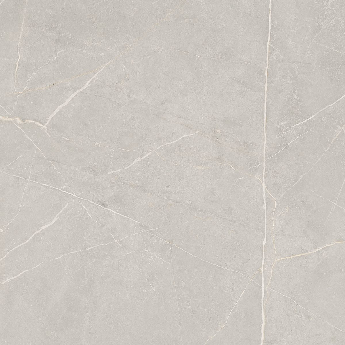 NL02 Nolana Light Grey 800x800 неполированный серый