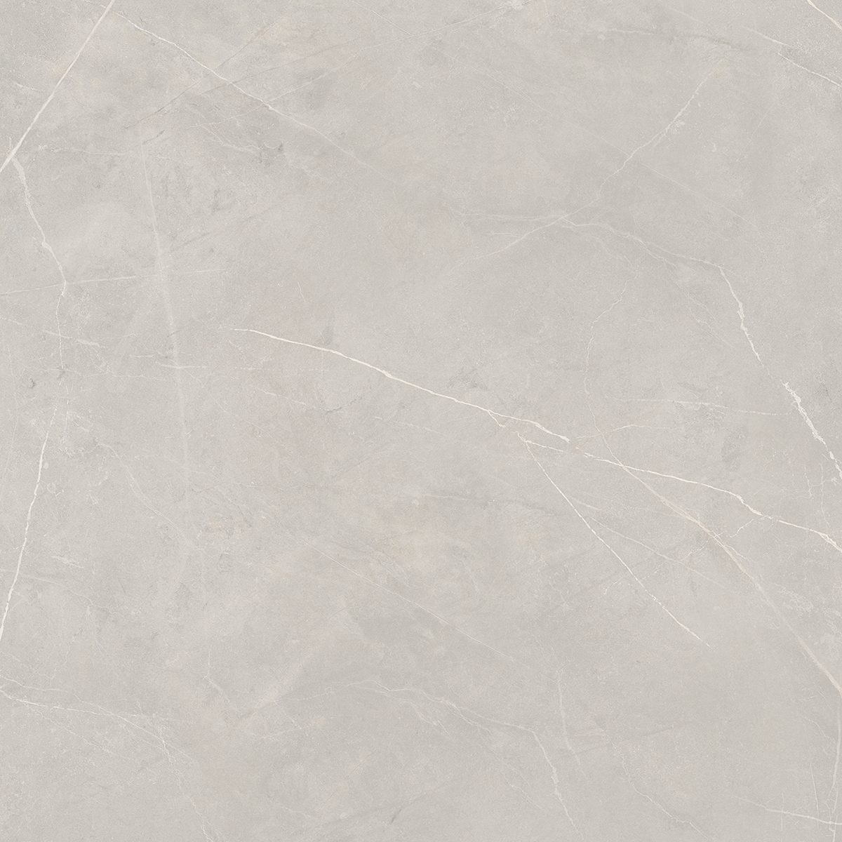 NL02 Nolana Light Grey 800x800 неполированный серый