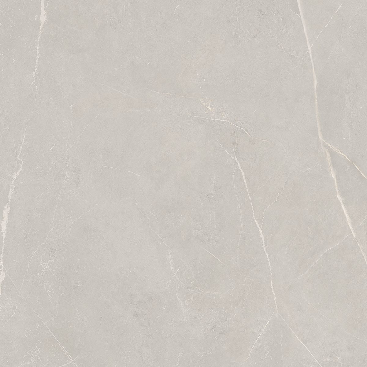 NL02 Nolana Light Grey 800x800 неполированный серый