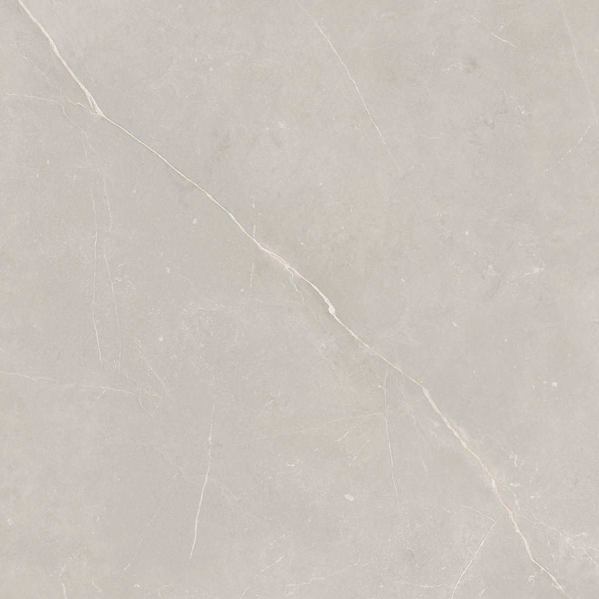 NL02 Nolana Light Grey 800x800 неполированный серый