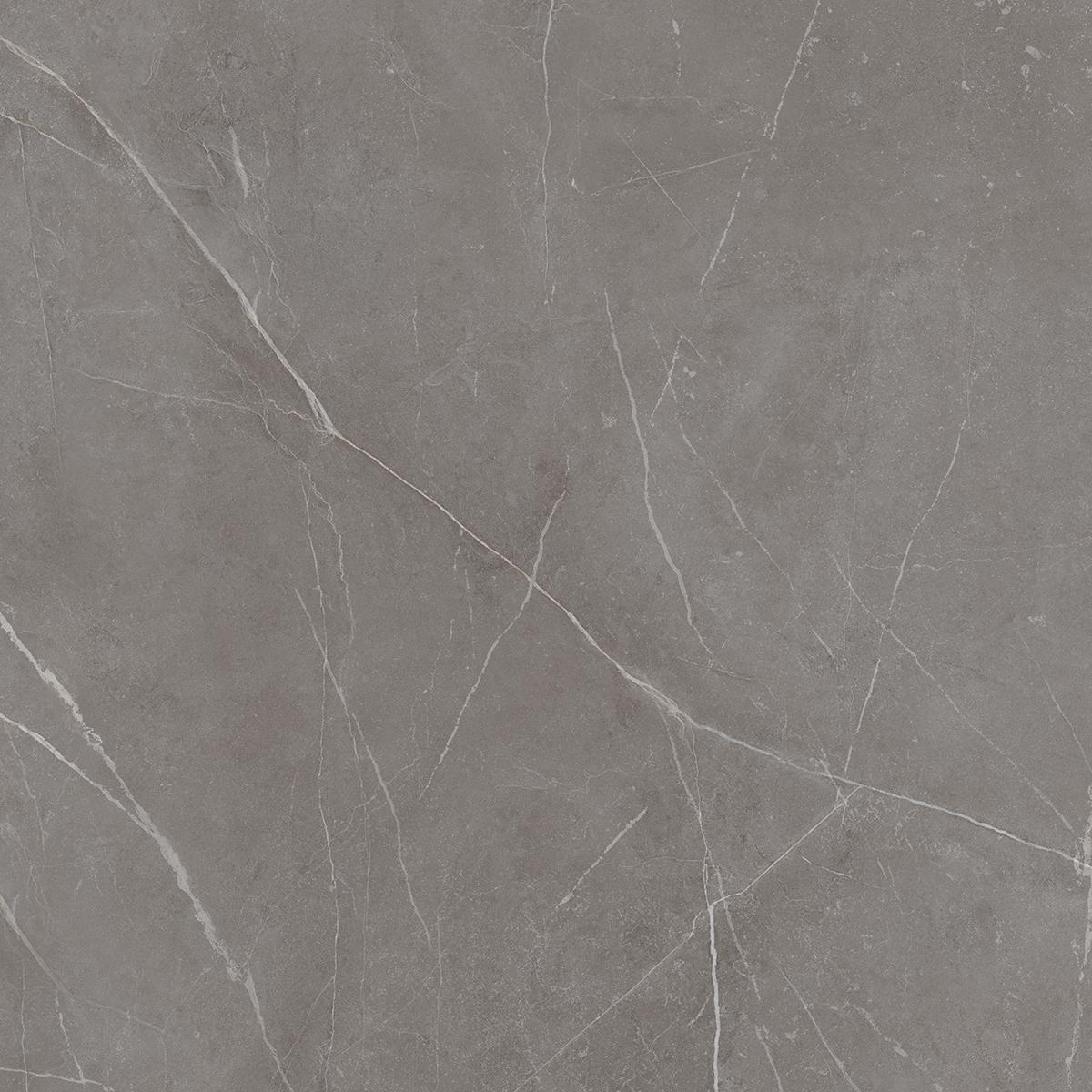 NL03 Nolana Dark Grey 800x800 неполированный серый