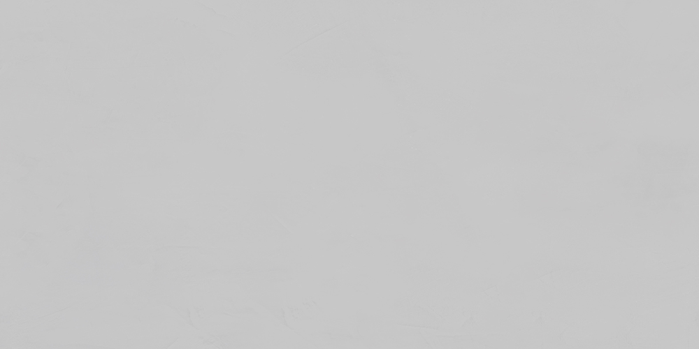 ENMON8019DM60120 Artcolor White Digi Matt 600x1200 матовый белый