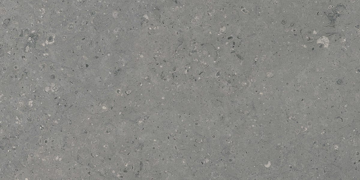 G213MR Arkaim Grey (Аркаим Грей) 600x1200 матовый серый
