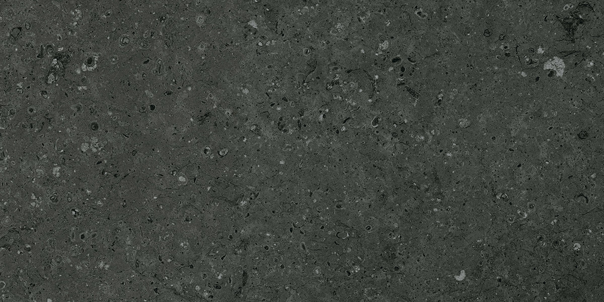 G215MR Arkaim Black (Аркаим Блэк) 600x1200 матовый черный