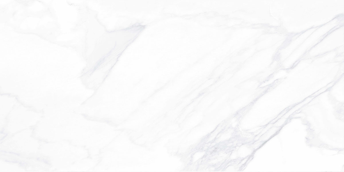 G281MR Payer Elegant (Пайер Элегант) 600x1200 матовый элегантный