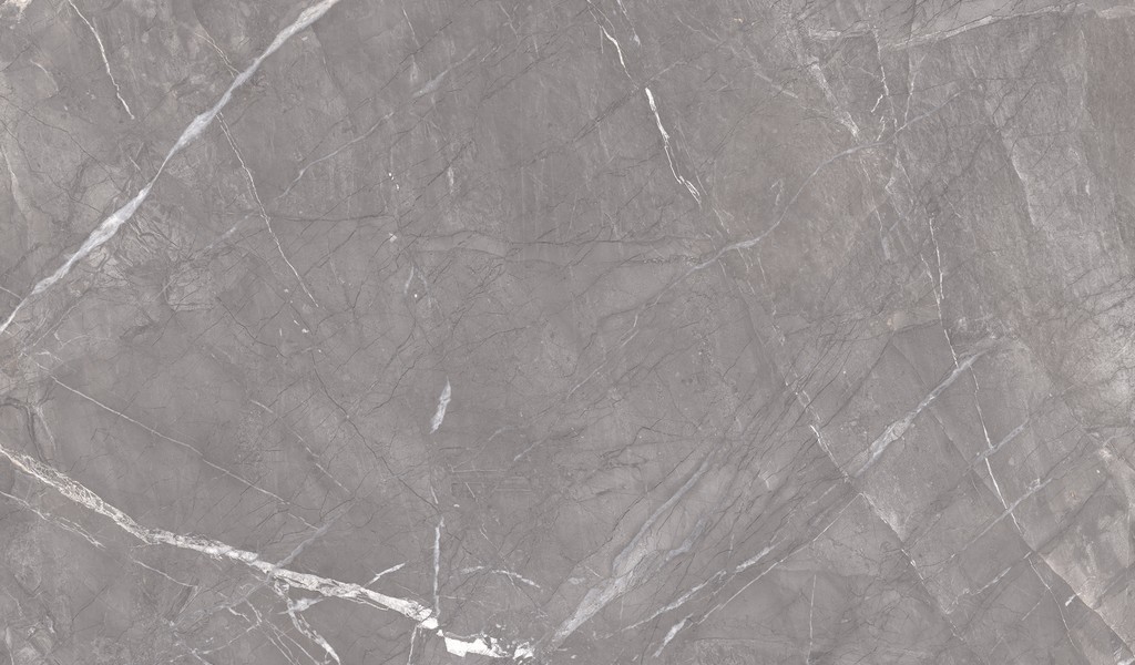 ENSTN3103SP120280 Ariana Grey SP Matt 1200x2800 матовый серый
