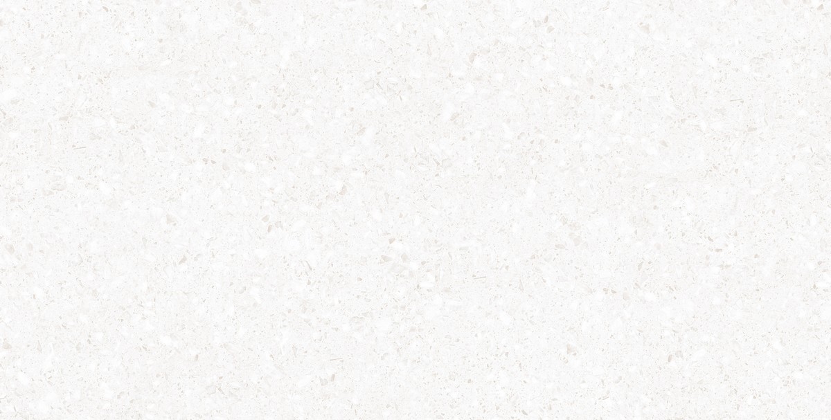 ENIND1020CR60120 Industrial Mont Blanc Сarving 600x1200 матовый белый