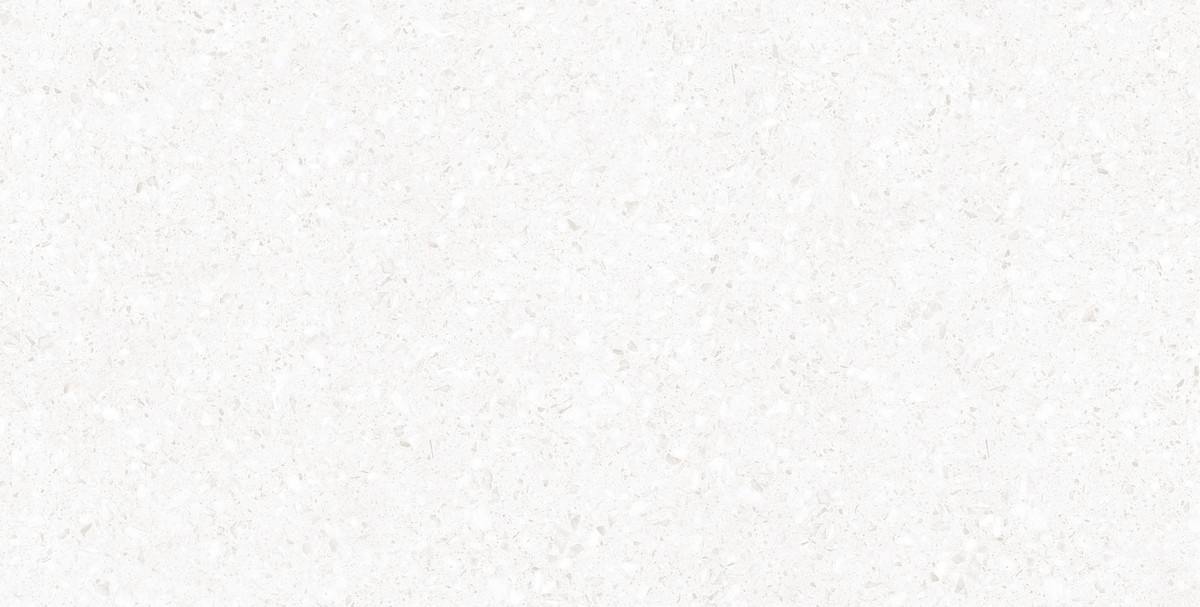 ENIND1020CR60120 Industrial Mont Blanc Сarving 600x1200 матовый белый