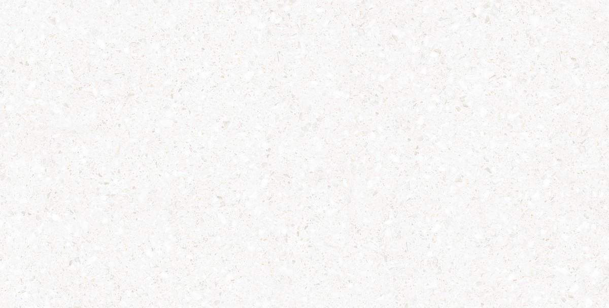 ENIND1020CR60120 Industrial Mont Blanc Сarving 600x1200 матовый белый