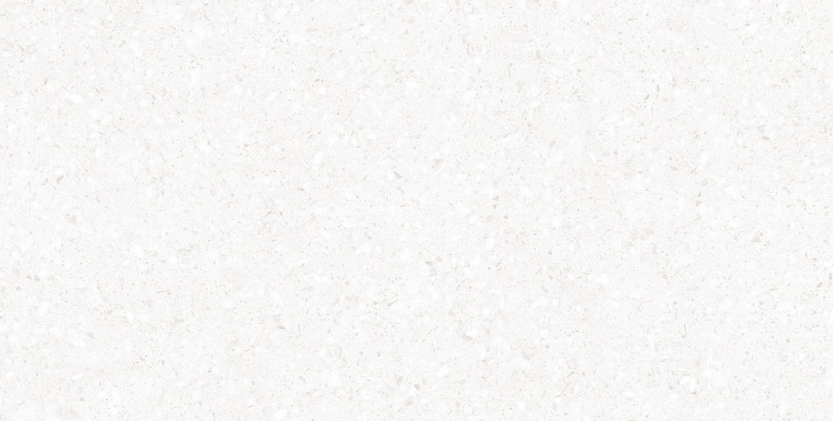ENIND1020CR60120 Industrial Mont Blanc Сarving 600x1200 матовый белый