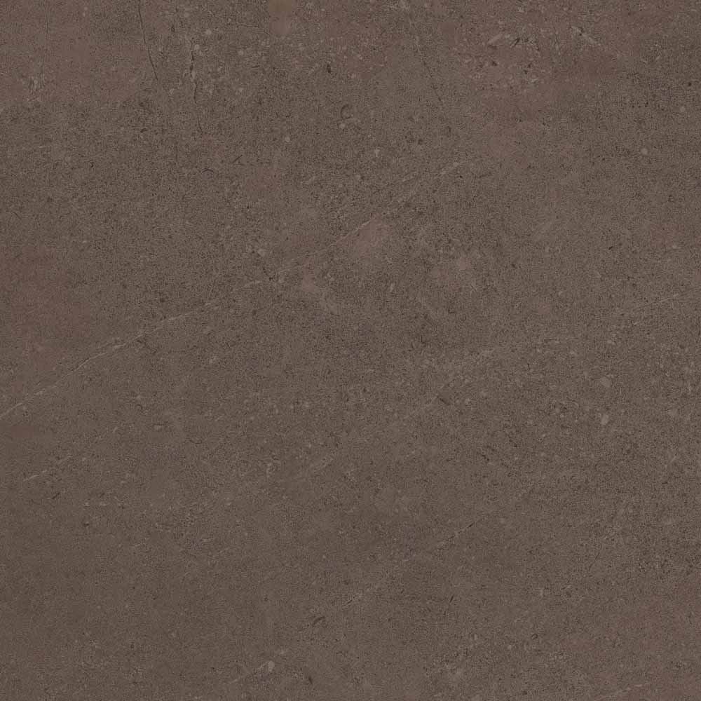 GO03 Gobi Brown Grey 600x600 неполированный коричневый