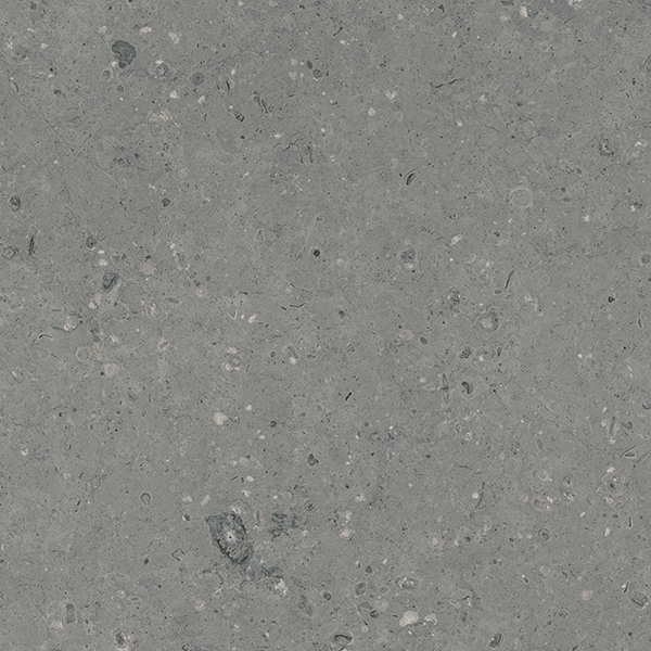 G213MR Arkaim Grey (Аркаим Грей) 600x600 матовый серый