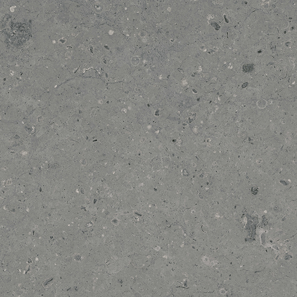 G213MR Arkaim Grey (Аркаим Грей) 600x600 матовый серый