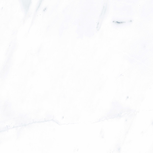 G283PR Payer Grey (Пайер Грей) 600x600 полированный серый