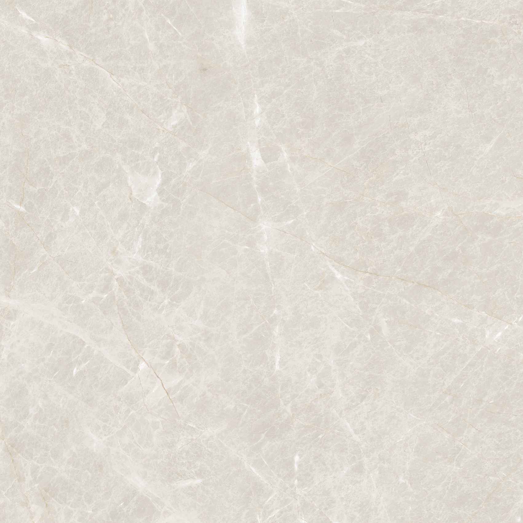 ETSTN1226GL6060 Liceo Pearl Glossy 600x600 полированный серый